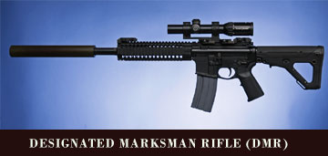 LWRC (DMR)